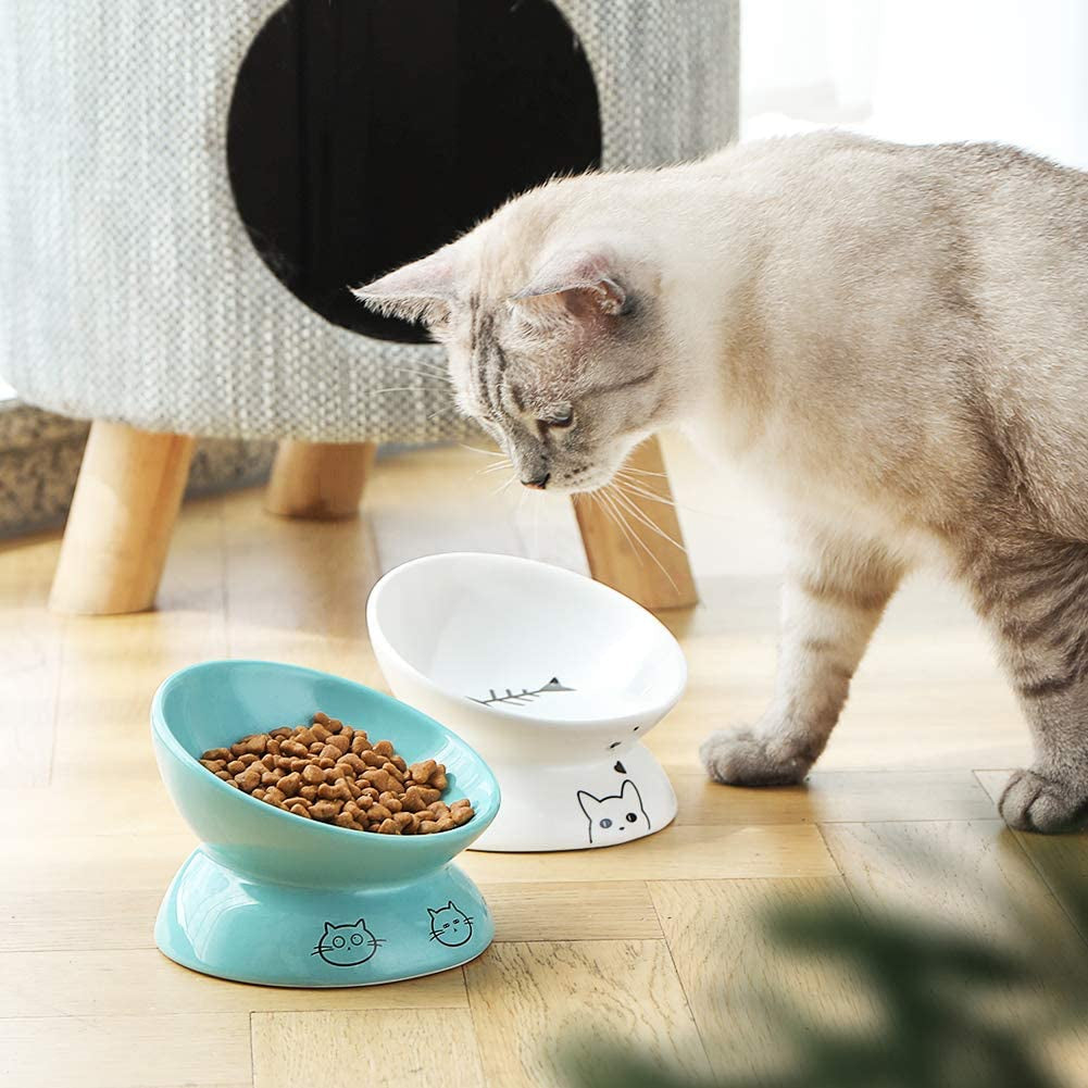 Ceramic Raised Cat Bowls