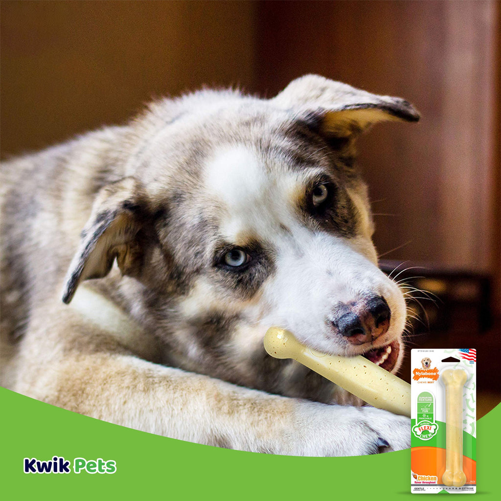 Flexichew Dental Bone Giant Size Chicken Flavored Toy for Large Dogs