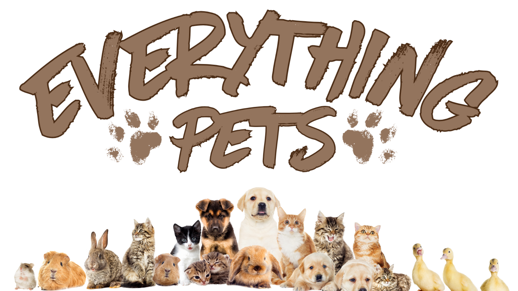 Everything Pets