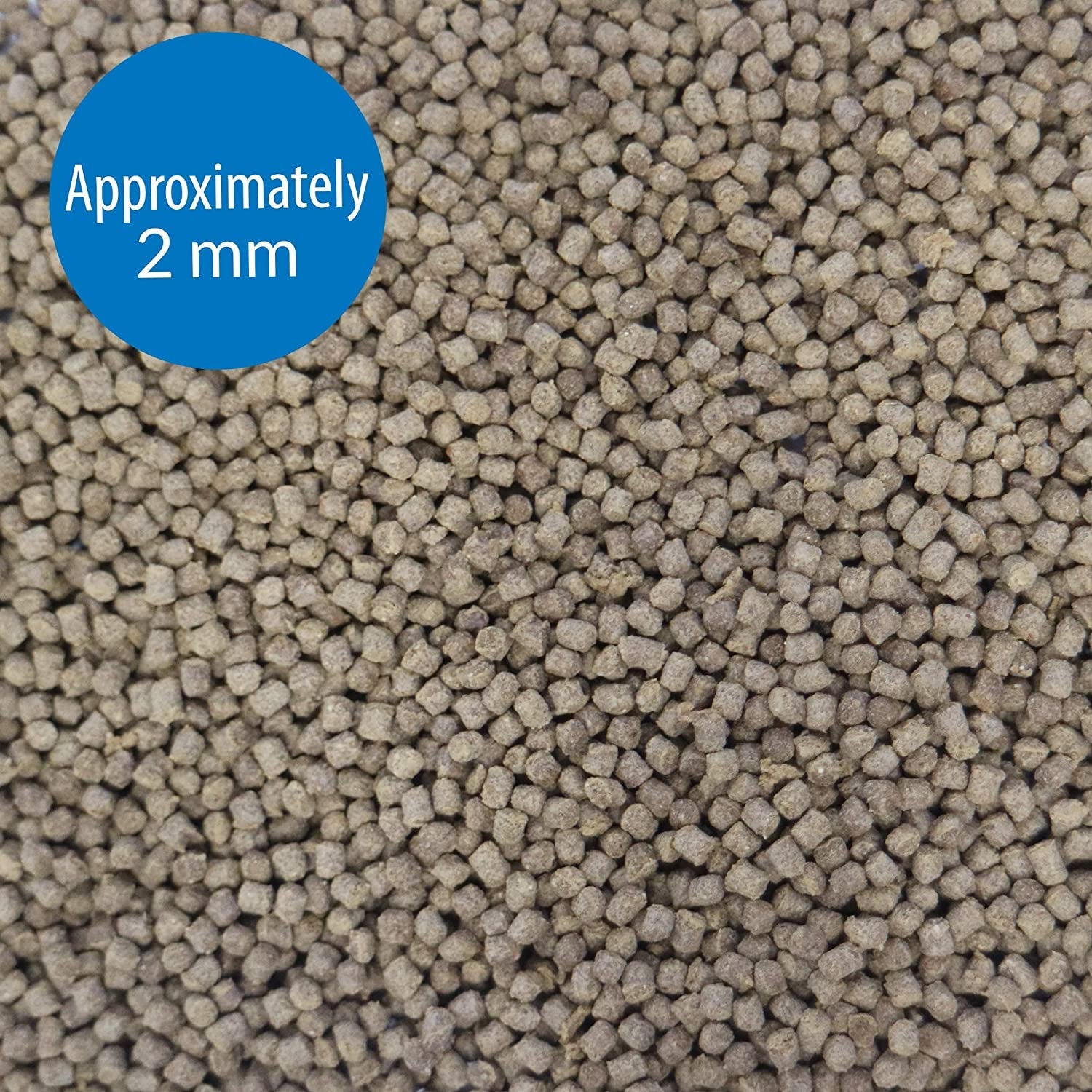 TROPICAL PELLETS Sinking Pellets Fish Food 4.2-Ounce Container, Medium (823B)