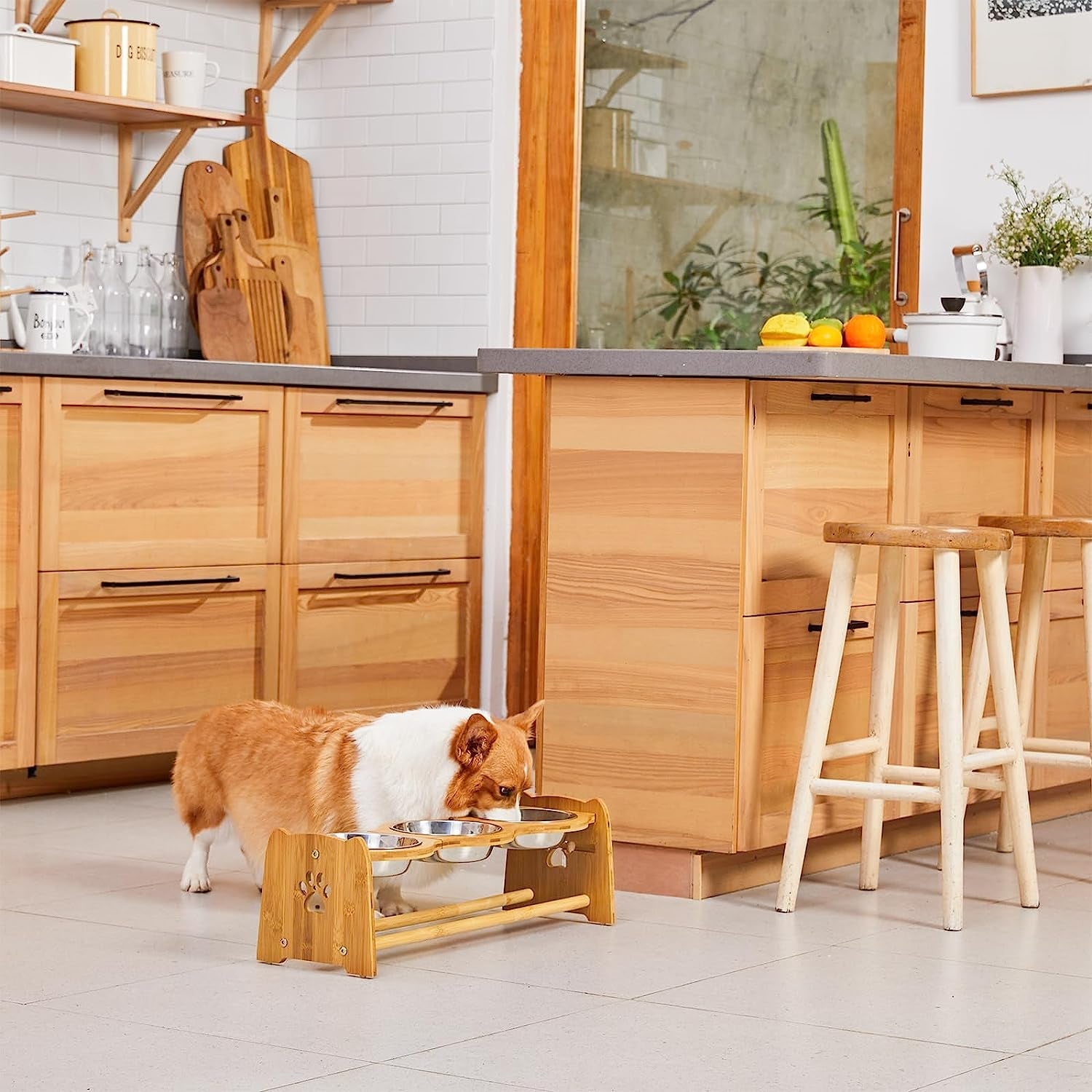 Elevated Dog Bowls for Cats and Dogs